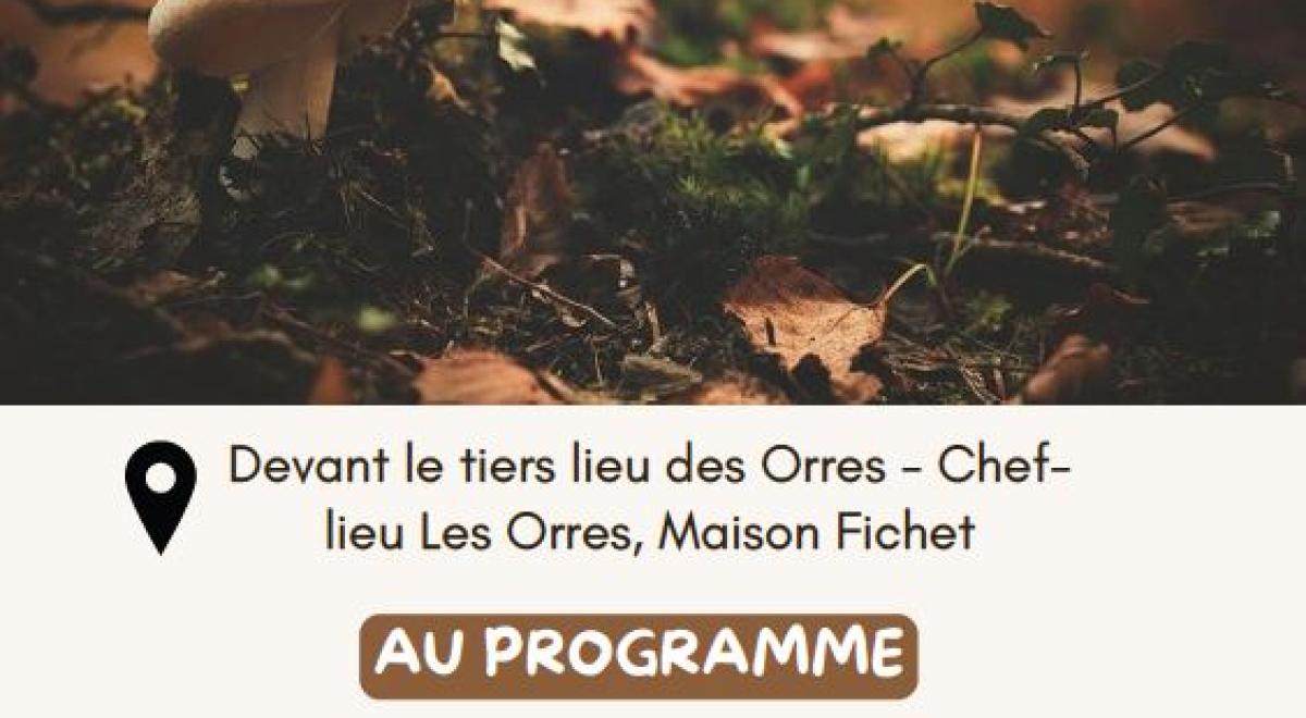 Affiche atelier Vie du sol