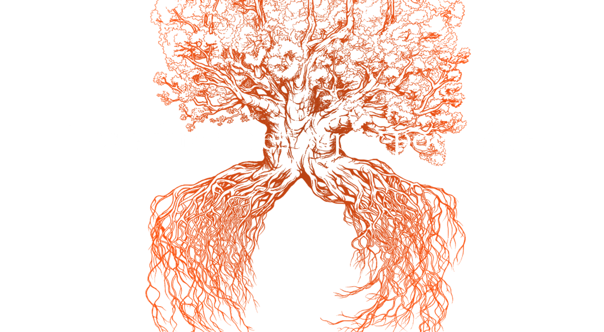 conférence arbres supers pouvoirs
