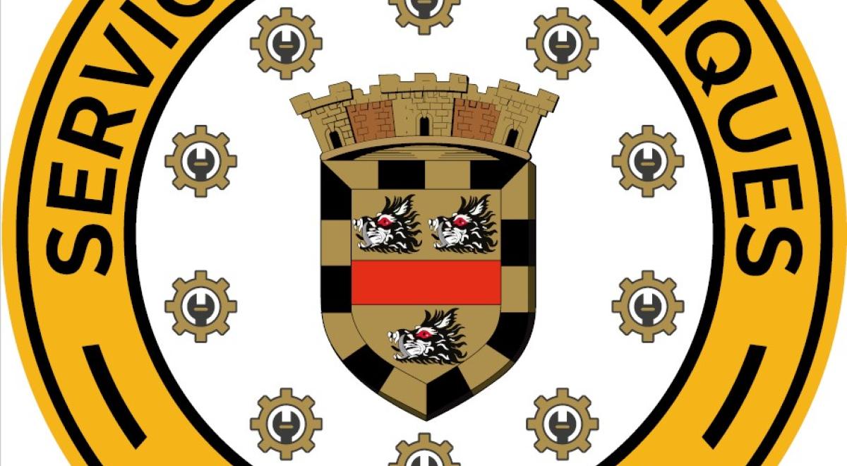 Logo Services Techniques