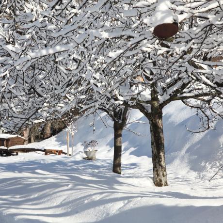 Les Orres Hiver 2012