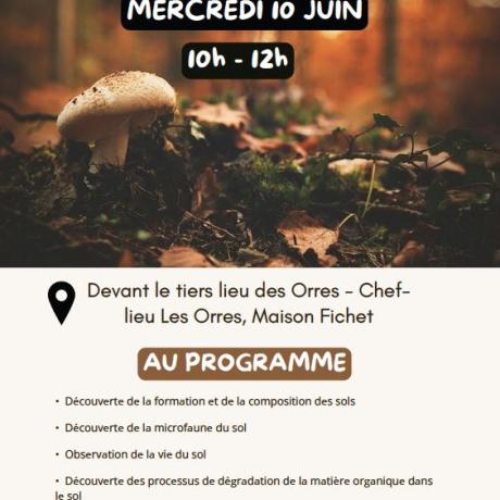 Affiche atelier Vie du sol