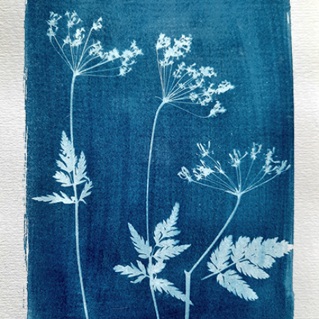 affiche cyanotype