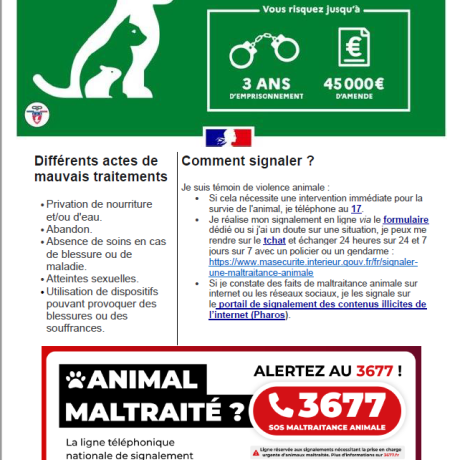 maltraitance animale