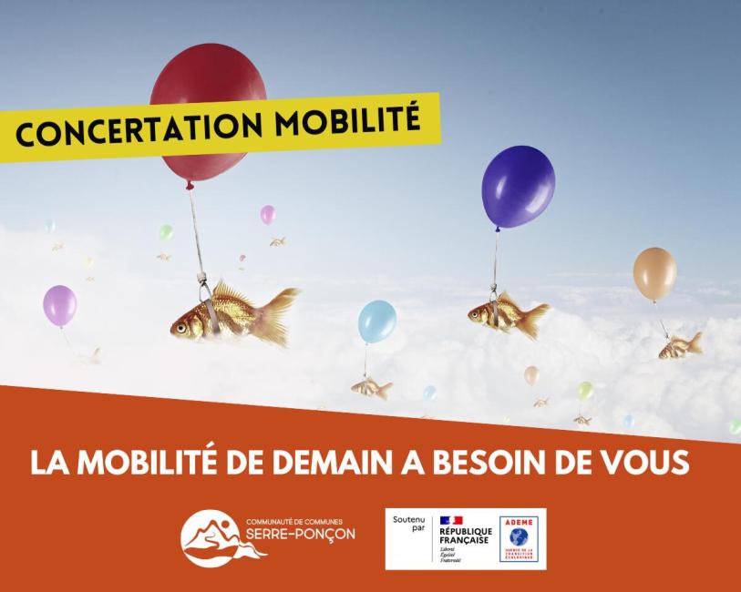 IMAGE CONSULTATION PUBLIQUE PDMS