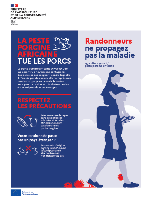 sensibilisation fièvre porcine