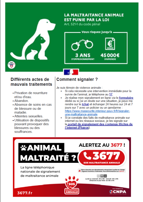 maltraitance animale